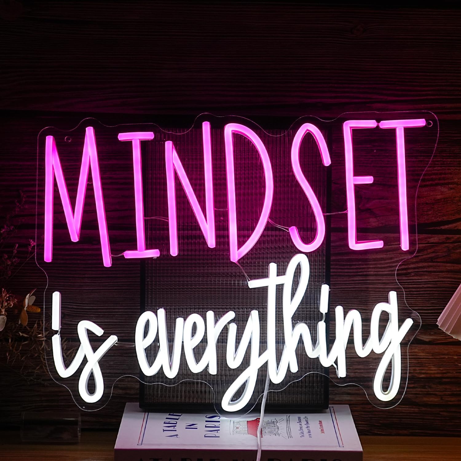 Mindset is Everything Neon Sign