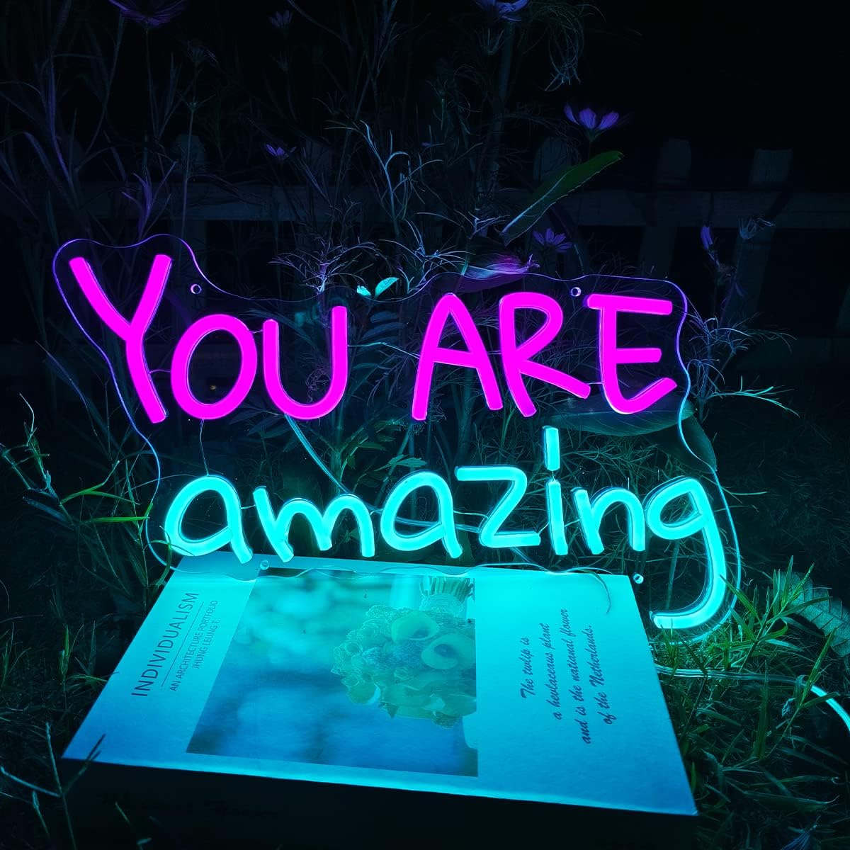 You Are Amazing Neon Sign