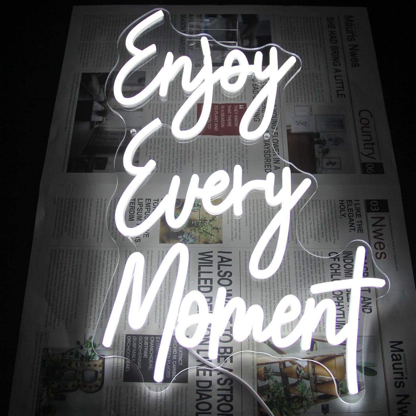 "Enjoy Every Moment" Neon Sign