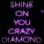 Crazy Diamond neon sign
