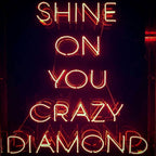 Crazy Diamond neon sign