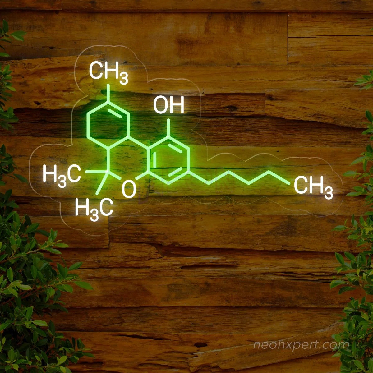 THC Molecule Neon Sign